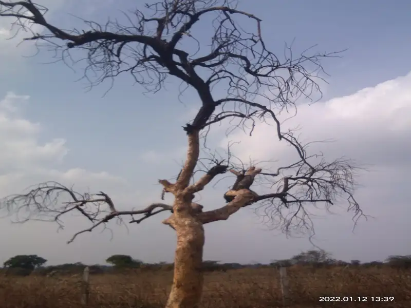 Aurangabad to Khamgaon Cab