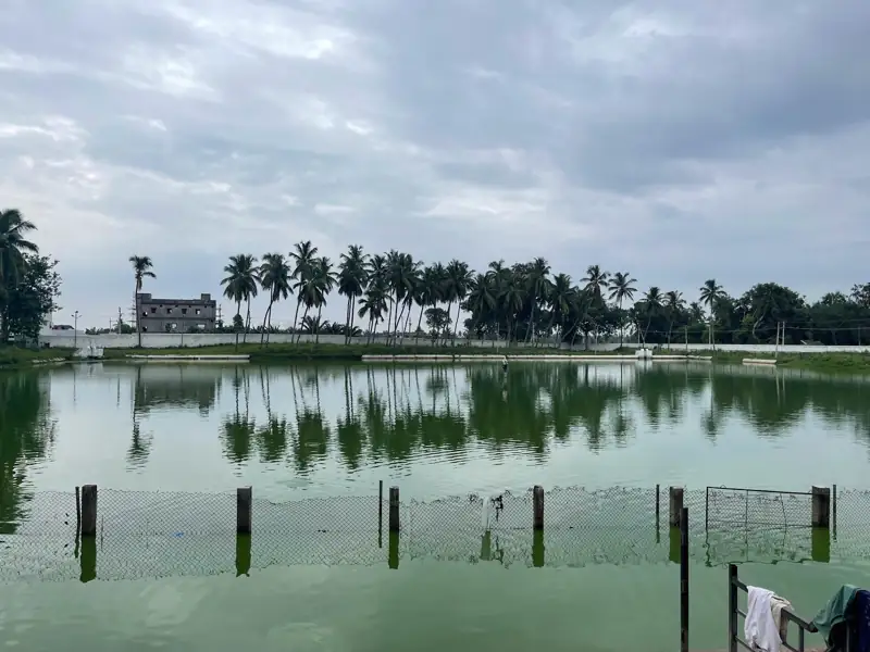 Aurangabad to Srikakulam Cab