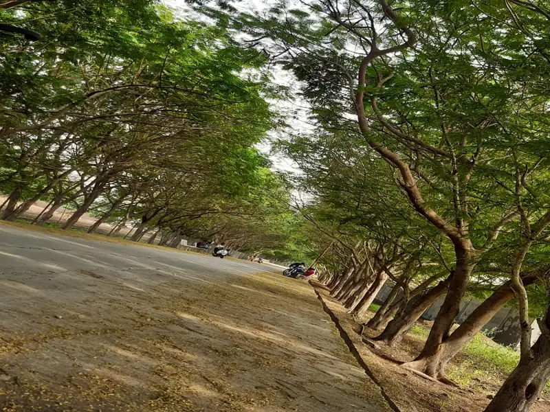 Mumbai to Georai Cab