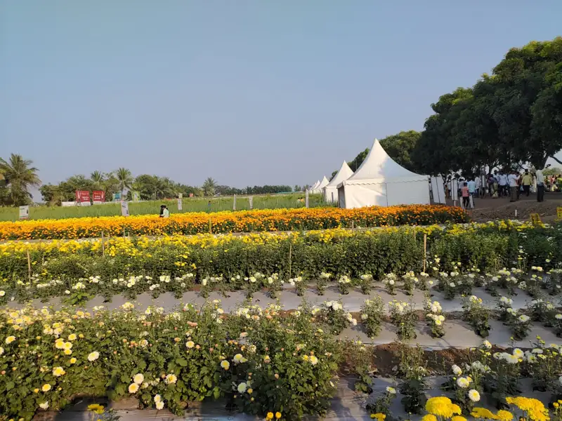 Pune to Baramati Cab