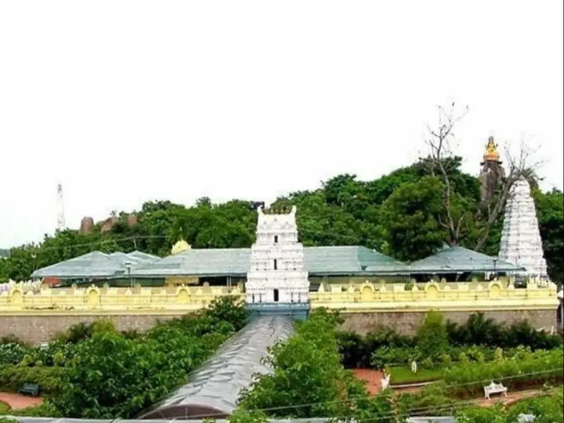 Shirdi to Basara Cab