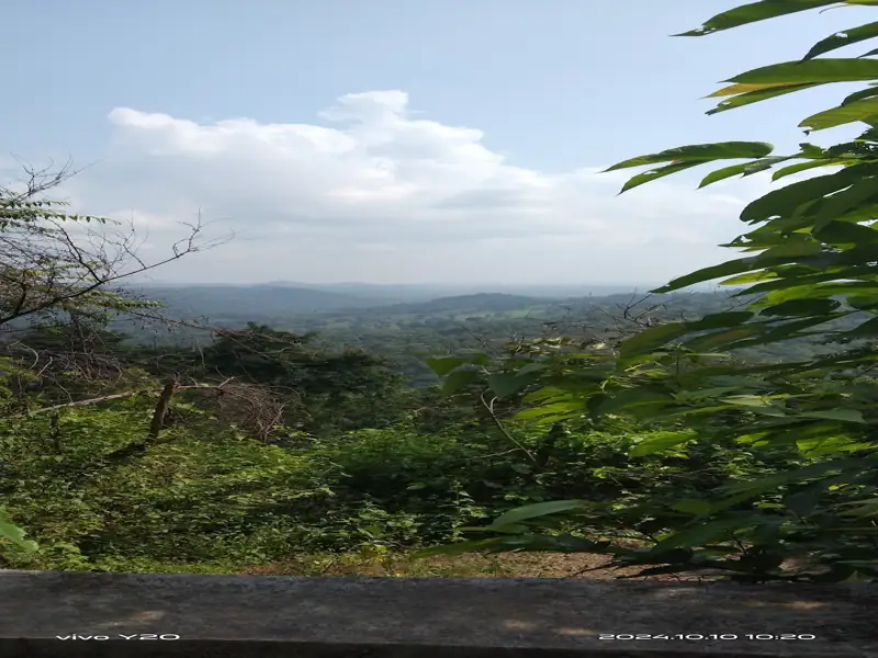 Bokaro to Saranda Forest Cab