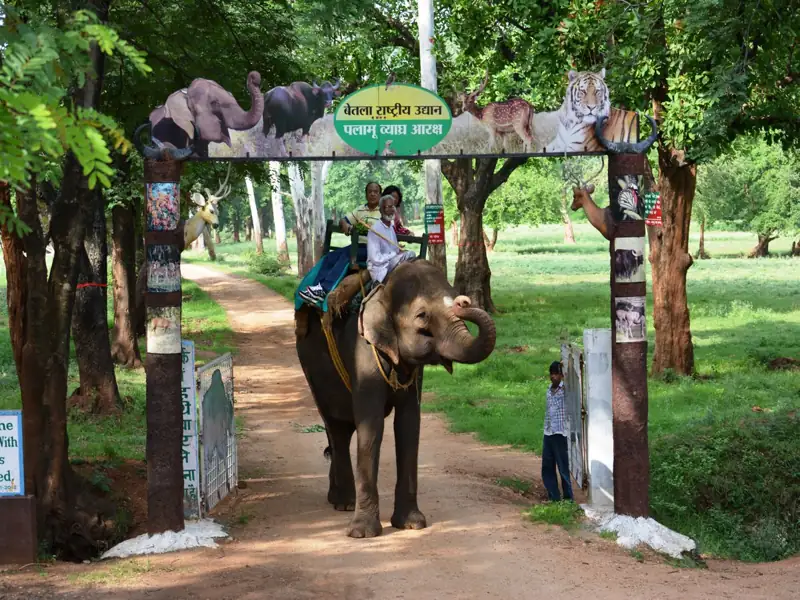 Bokaro to Wildlife Safari Betla Cab