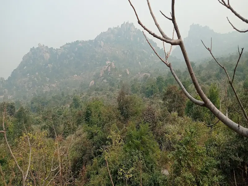 Deoghar to Koderma Wildlife Sanctuary Cab