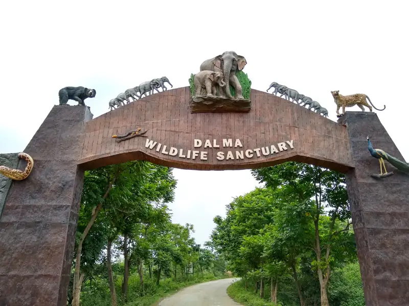 Dumka to Kumardungi Cab