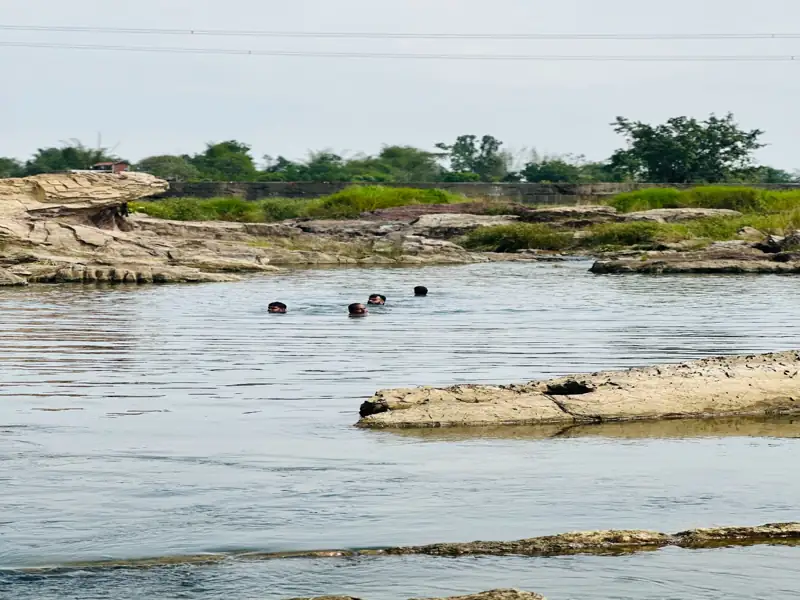 Dumka to Mungeli Cab