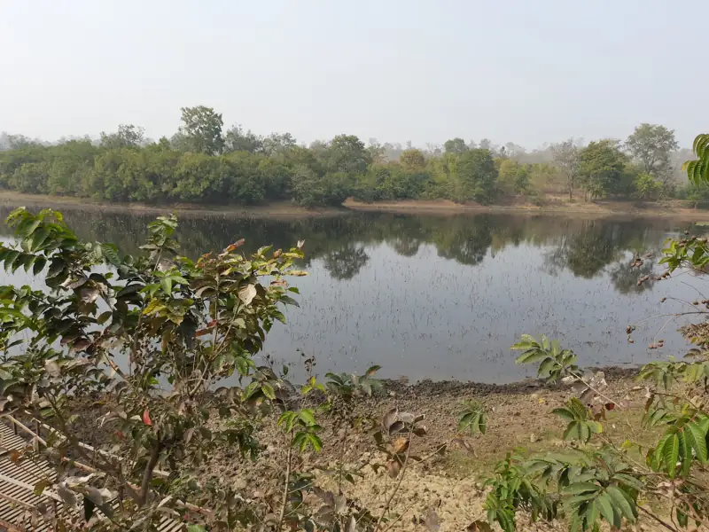 Dumka to Palamu Cab