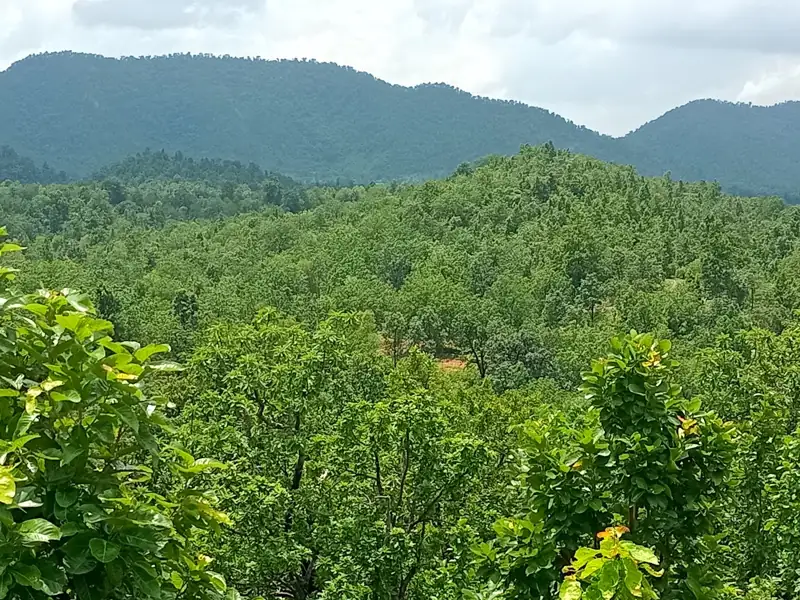 Hazaribagh to Goilkera Cab