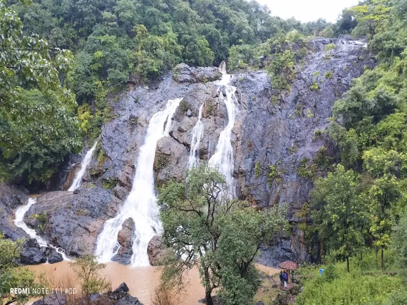 Jamshedpur to West Singhbhum Cab