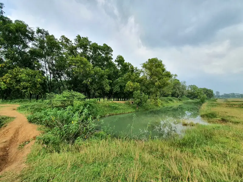 Netarhat to Namkum Cab