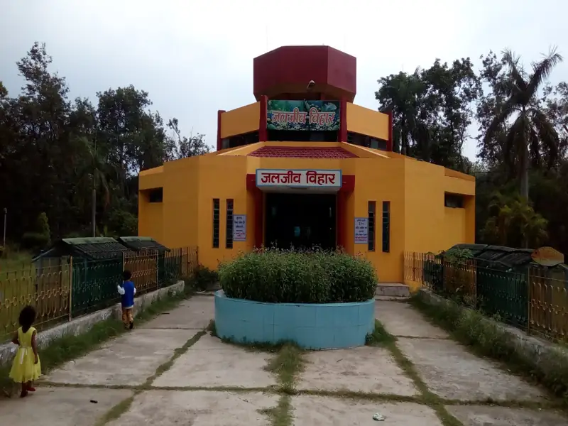 Ranchi to Chandankiyari Cab