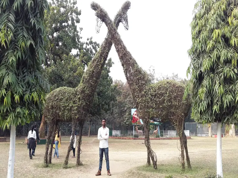 Ranchi to Phusro Cab