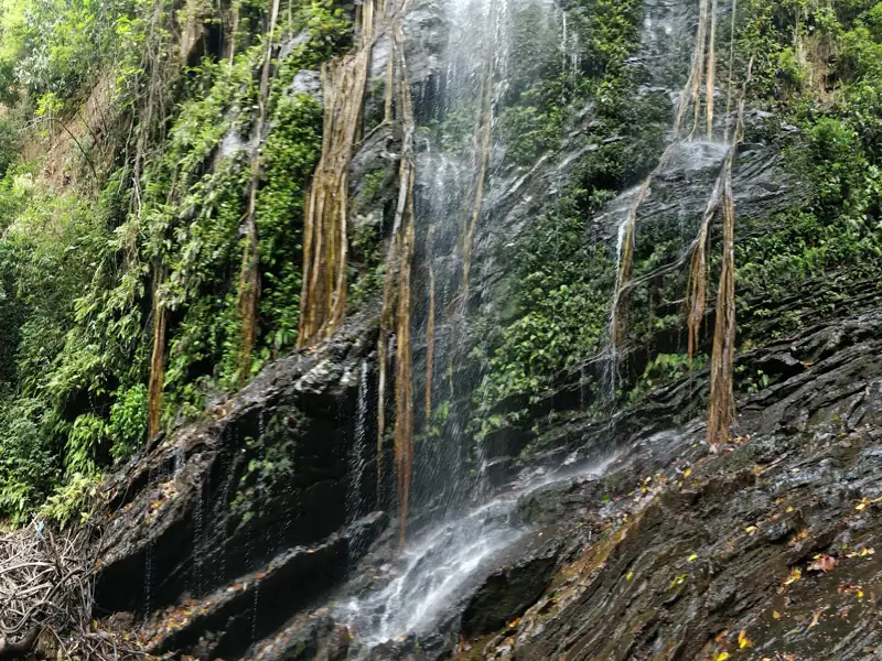 Ballari to Kodachaadri Cab