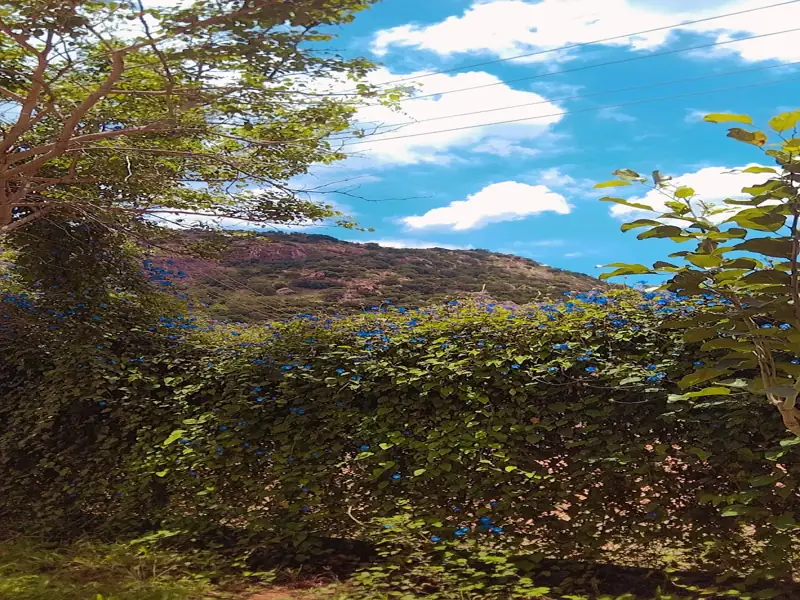 Ballari to Makalidurga Cab