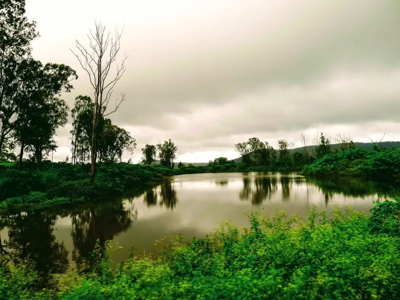 Bangalore to Bandipur National Park Cab