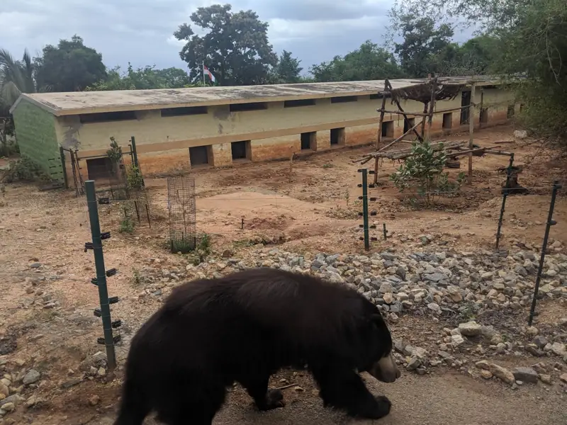Bangalore to Bannerghatta Biological Park Cab