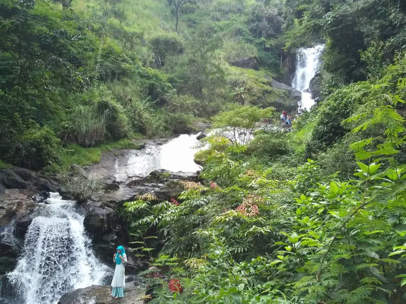 Bangalore to Iruppu Falls Cab