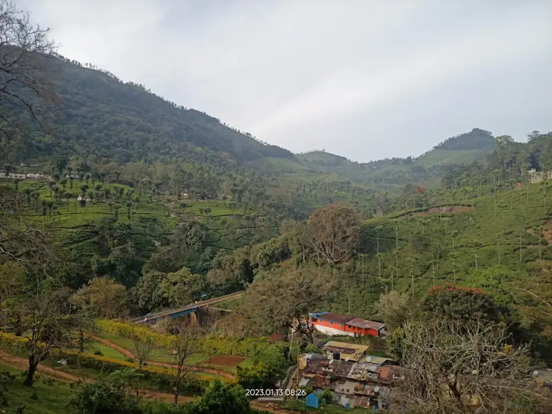Belagavi to Coonoor Cab