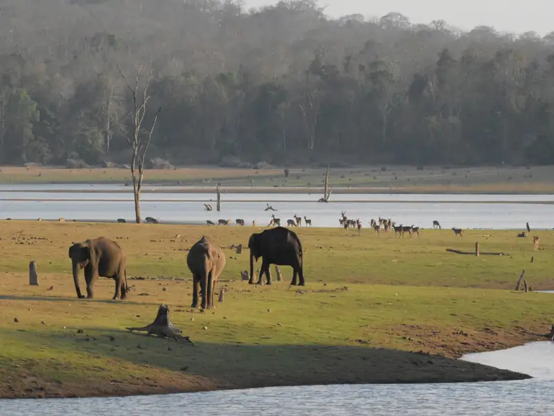 Coorg to Kabini Wildlife Sanctuary Cab