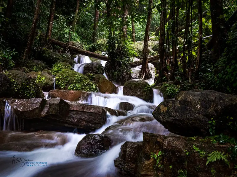Coorg to Manipal Cab