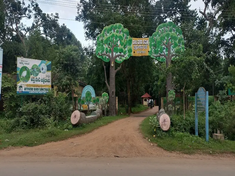 Coorg to Mundgod Cab