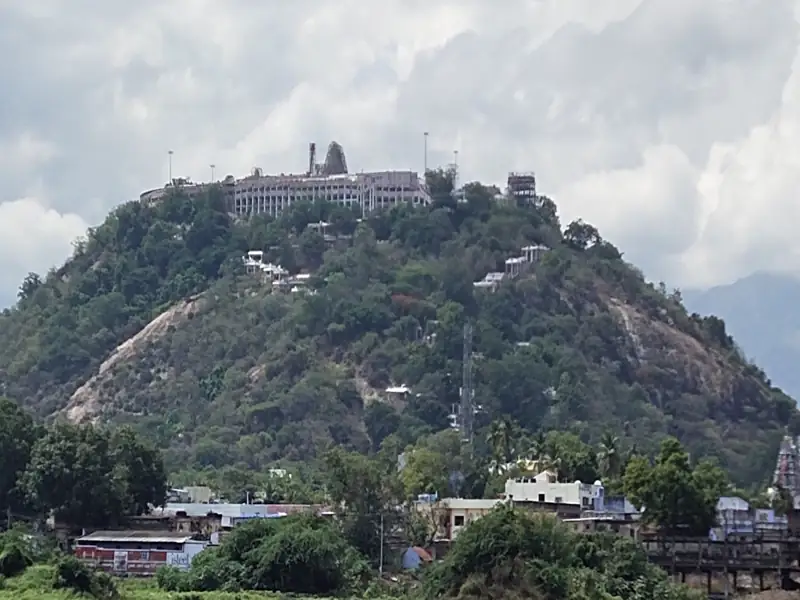 Davanagere to Palani Cab
