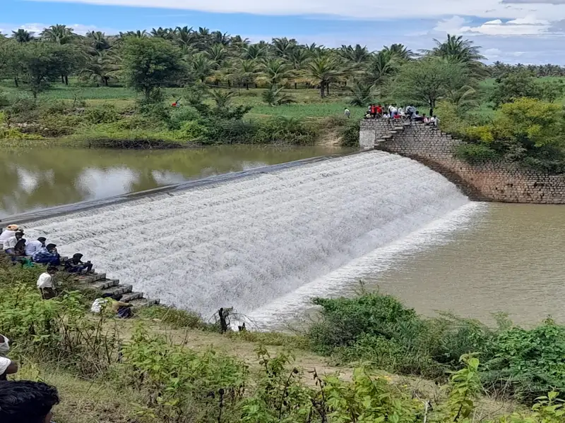 Davanagere to Turuvekere Cab