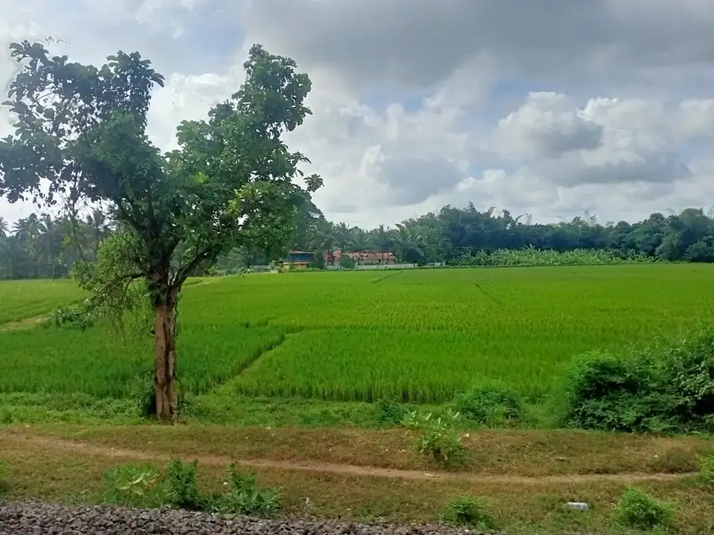 Hubli to Palakkad Cab