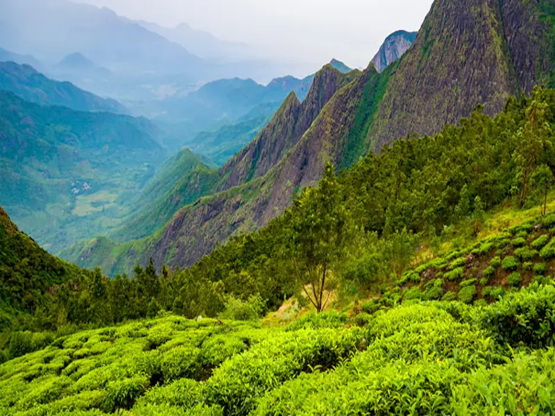 Mangalore to Munnar Cab