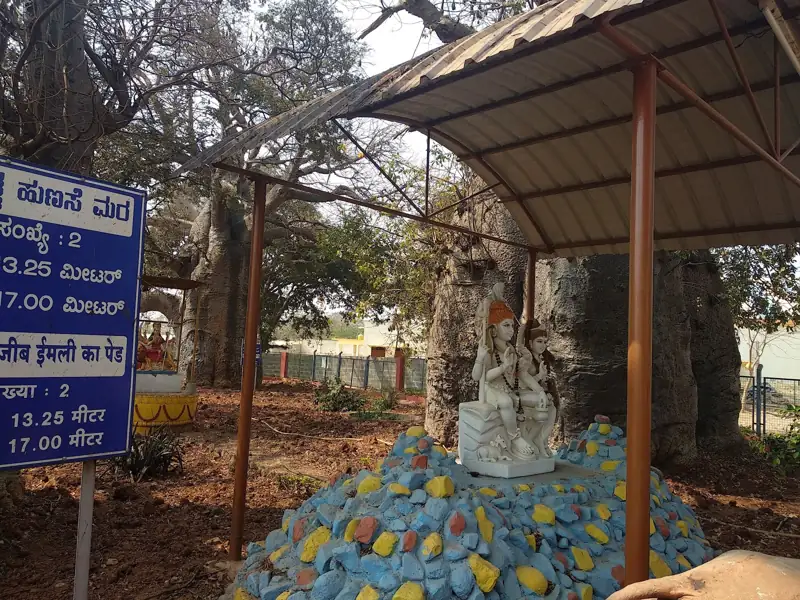 Mangalore to Savanur Cab