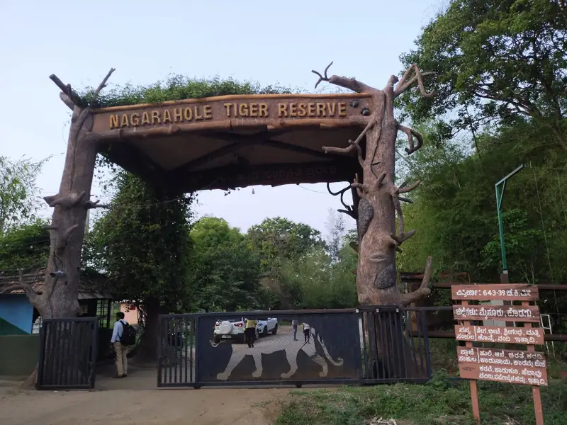 Mysore to Nagarhole National Park Cab