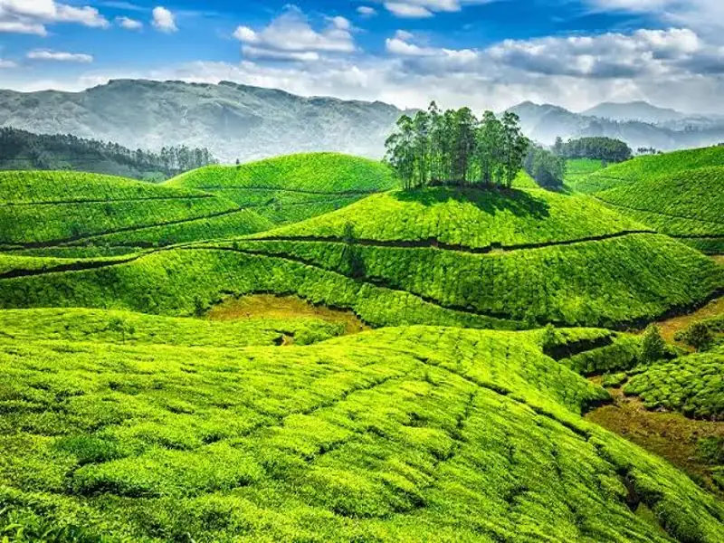 Mysore to Ooty Cab