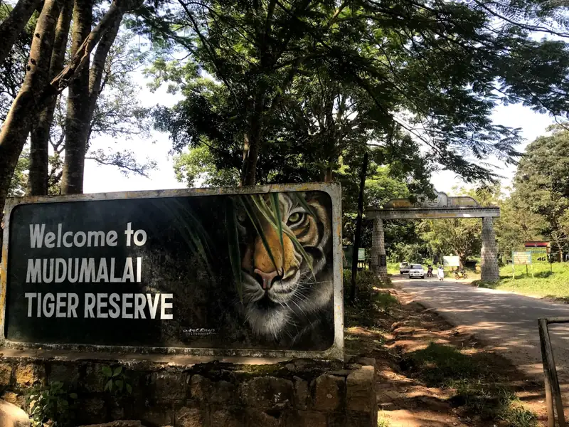 Shimoga to Mudumalai Cab