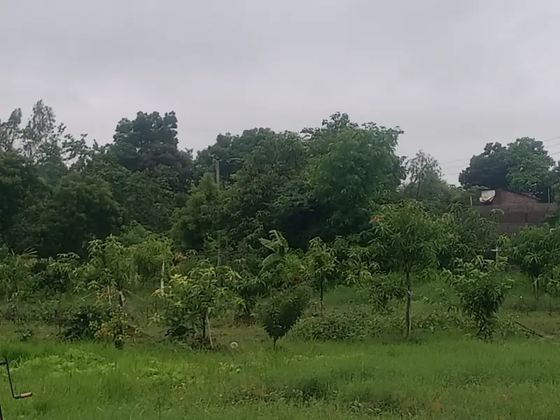 Bhavnagar to Valod Cab
