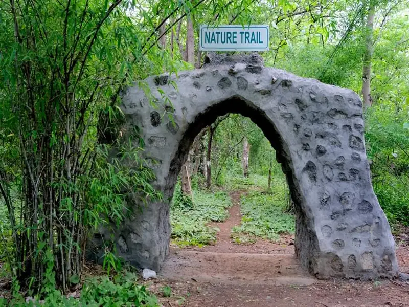 Bhuj to Rumla Cab
