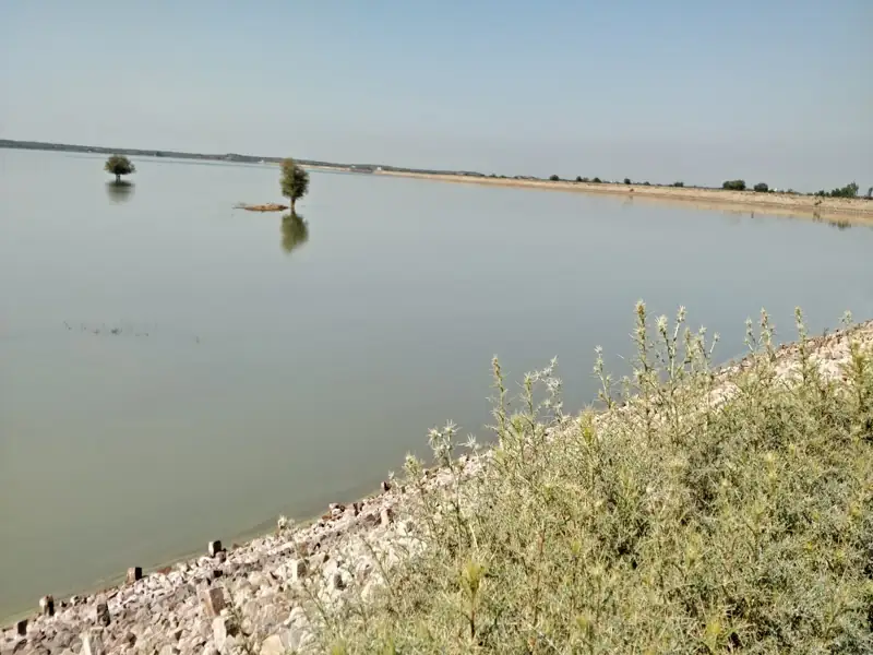 Gandhinagar to Dhrangadhra Cab