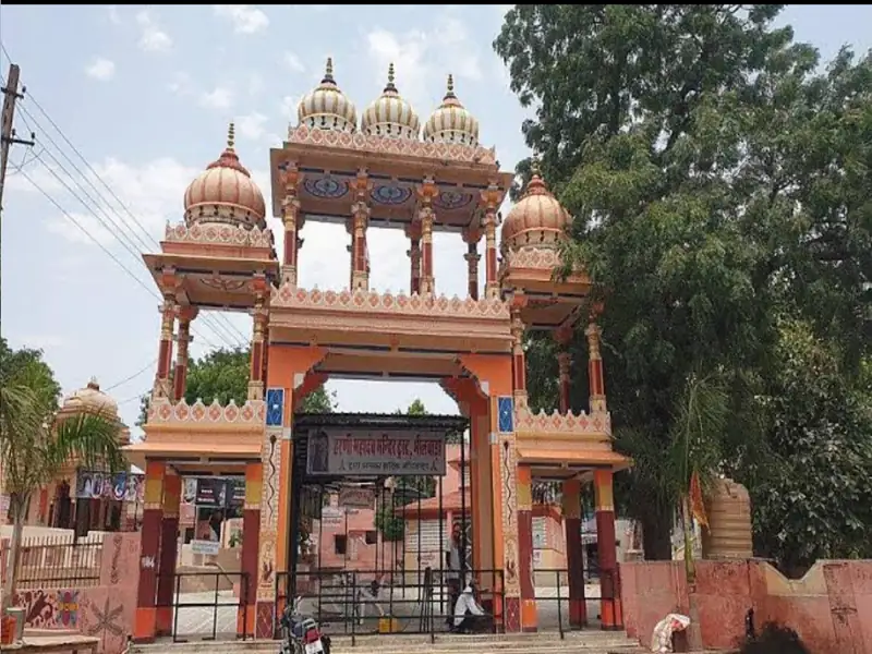 Junagadh to Bhilwada Cab