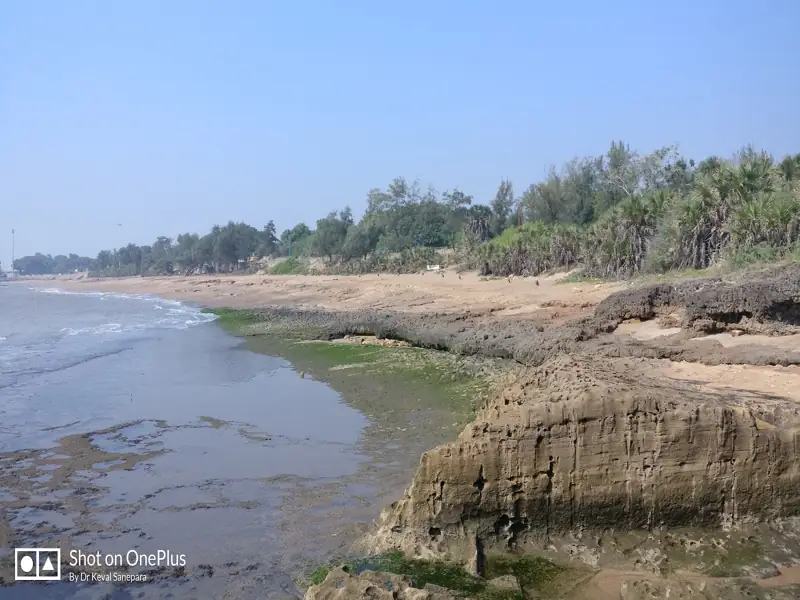 Junagadh to Ghoghla Cab