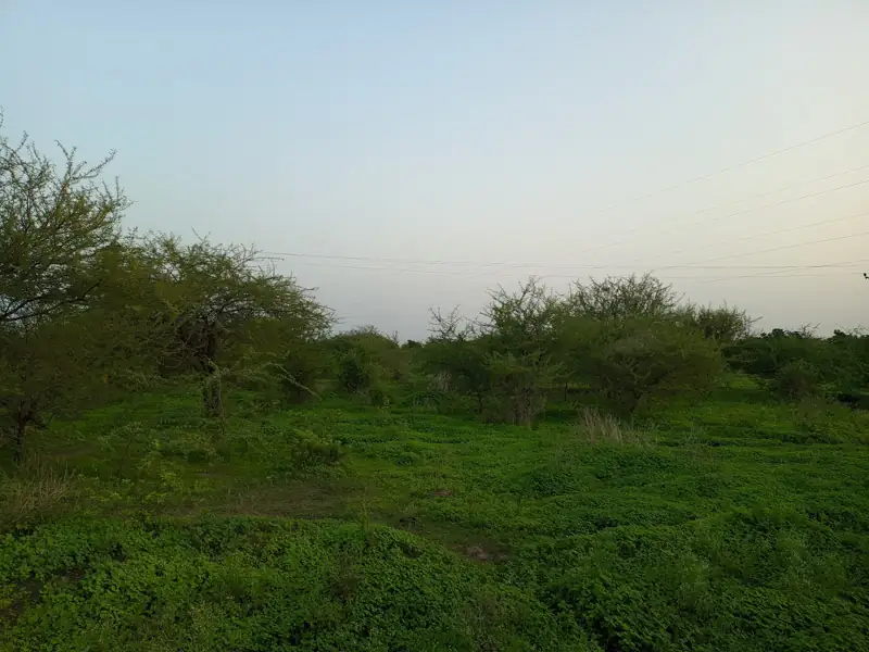 Junagadh to Jasdan Cab