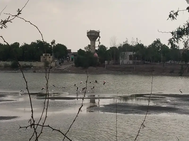 Junagadh to Sankheswar Cab