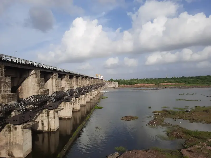 Navsari to Dhoraji Cab