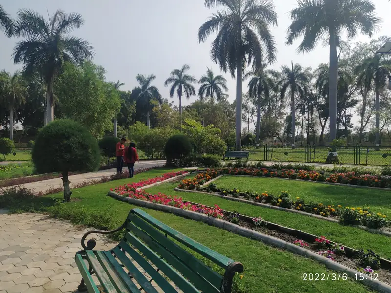 Navsari to Vaghodia Cab