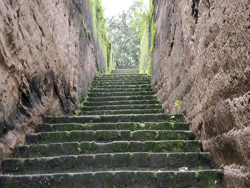 Navsari to Visavadar Cab