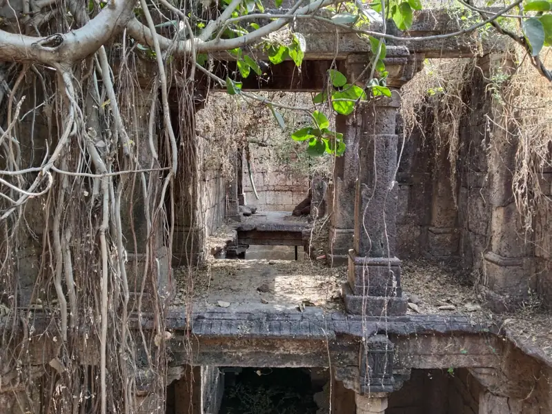 Surat to Kapadvanj Cab