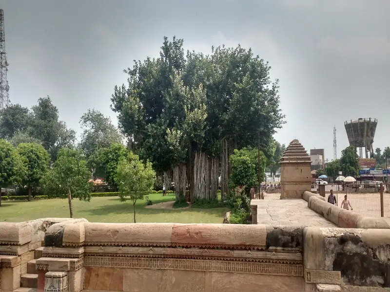 Vadodara to Charodi Cab