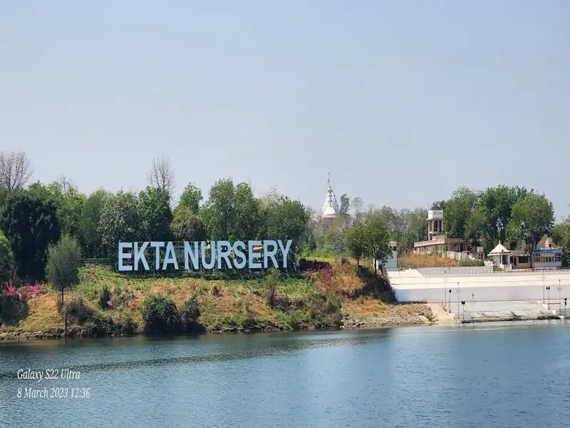 Vadodara to Ekta Nagar Cab