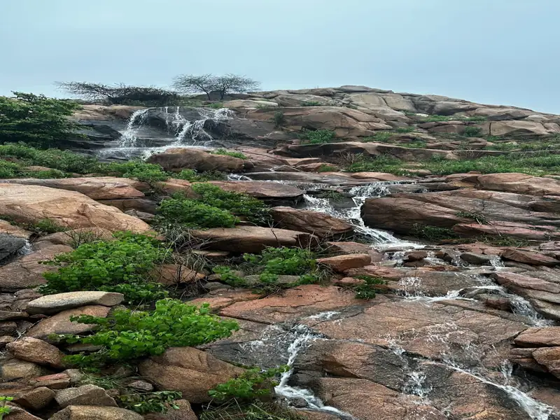 Vadodara to Idar Cab