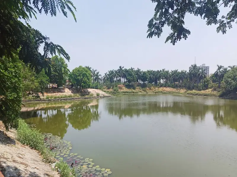 Vadodara to Vyara Cab
