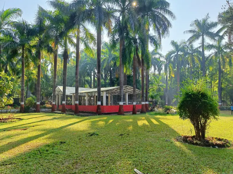 Vadodara to Waghai Cab