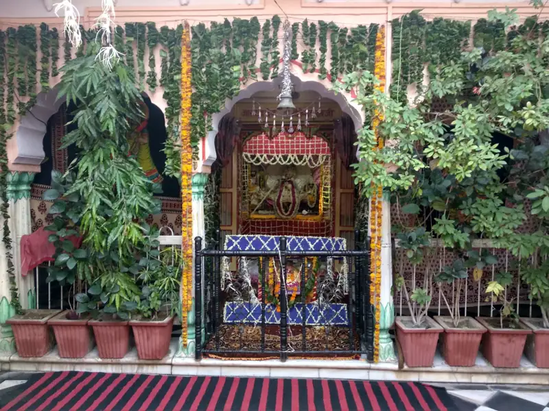 Alwar to Viratnagar Cab